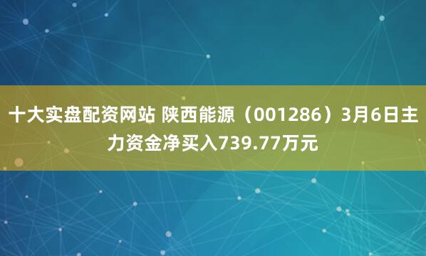 十大实盘配资网站 陕西能源（001286）3月6日主力资金净买入739.77万元