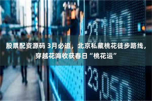 股票配资源码 3月必追，北京私藏桃花徒步路线，穿越花海收获春日“桃花运”