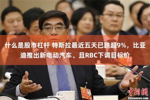 什么是股市杠杆 特斯拉最近五天已跌超9%，比亚迪推出新电动汽车、且RBC下调目标价