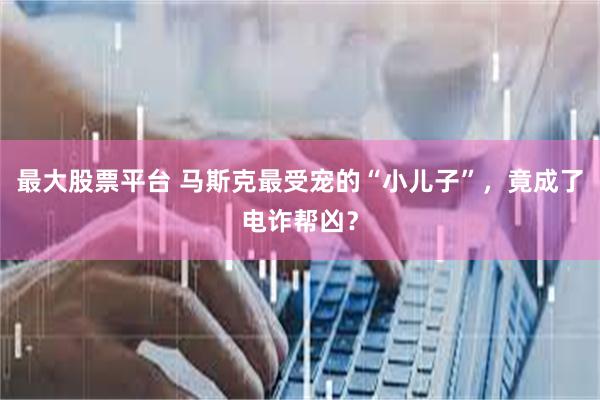 最大股票平台 马斯克最受宠的“小儿子”，竟成了电诈帮凶？