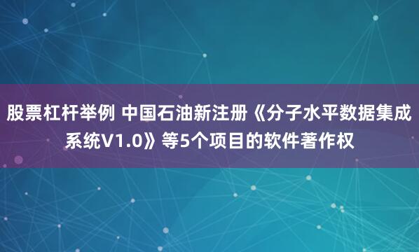 股票杠杆举例 中国石油新注册《分子水平数据集成系统V1.0》等5个项目的软件著作权