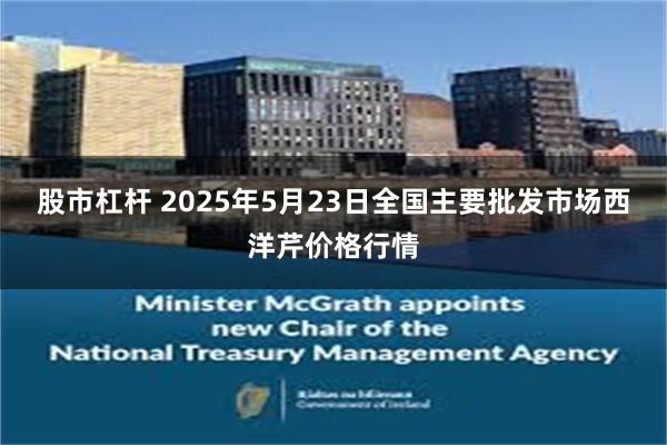 股市杠杆 2025年5月23日全国主要批发市场西洋芹价格行情