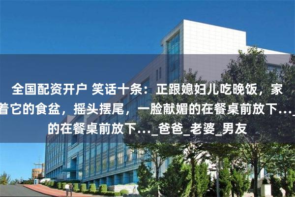全国配资开户 笑话十条:正跟媳妇儿吃晚饭,家里的二货狗狗叼着它的食盆,摇头摆尾,一脸献媚的在餐桌前放下…_爸爸_老婆_男友